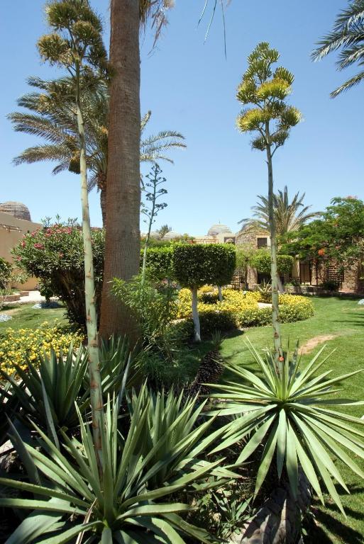 Jewels Sahara Boutique Resort Hurghada Esterno foto